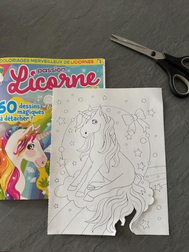 Accroche rêves : Licorne 