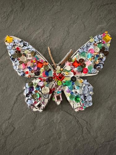 papillon petit modèle 4*5